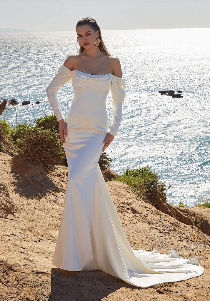 Elegant Two-Piece A-Line Tulle Wedding Dress with Off-Shoulder Long Sleeved  Top